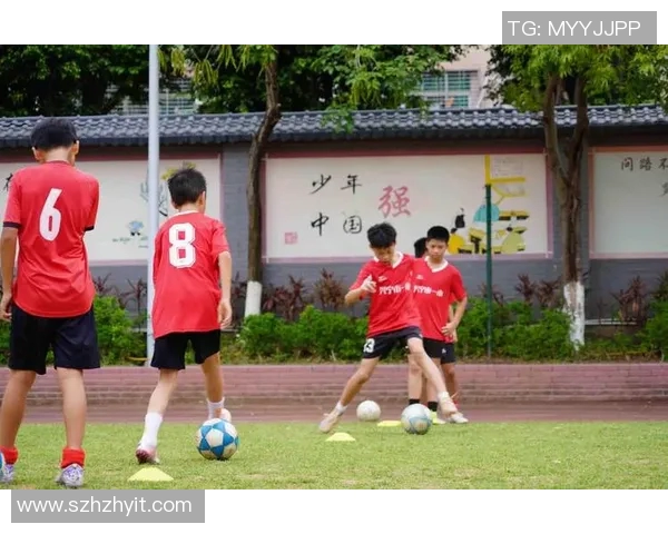 小牛足球：培养未来足球明星的摇篮与梦想的起点